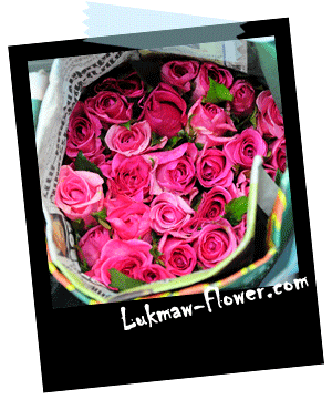 ดอกกุหลาบชมพู lukmaw-flower.com