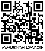 qr code ҹ͡١ Ѵ͡ ´͡ ʹ͡ Ҵ͡ ᨡѹ͡