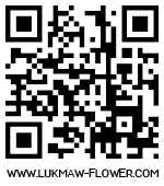 qr code ҹ͡١ Ѵ͡ ´͡ ʹ͡ Ҵ͡ ᨡѹ͡